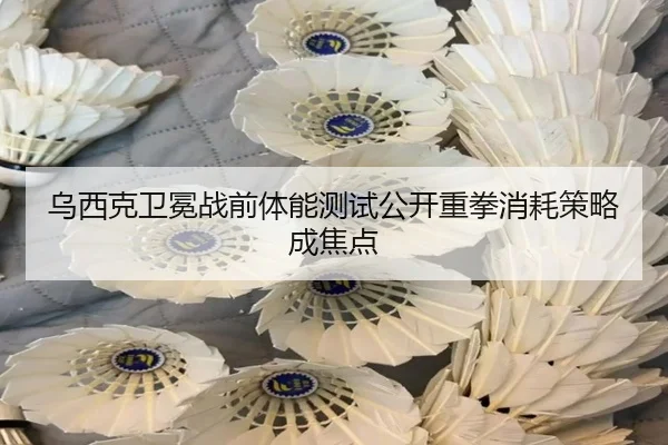 乌西克卫冕战前体能测试公开重拳消耗策略成焦点